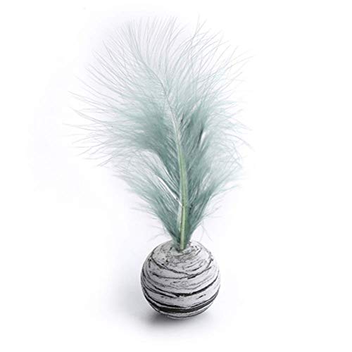 LOKAXXZU 1pcs cat Toys sternbällchen Plus Federn Eva materielle leichte schaumkugel lustiges interaktives Spielzeug für Katzen trainieren LOKAXXZU 1pcs cat Toys sternbällchen Plus Federn Eva materielle leichte schaumkugel lustiges interaktives Spielzeug für Katzen trainieren von LOKAXXZU