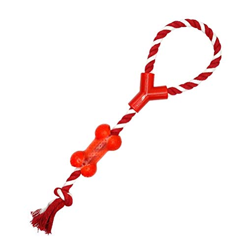 LOKAXXZU Baumwoll -Haustier -Hunde Seil kauen Tug Spielzeug Knoten Knoten Knochenkugel LOKAXXZU Baumwoll -Haustier -Hunde Seil kauen Tug Spielzeug Knoten Knoten Knochenkugel von LOKAXXZU