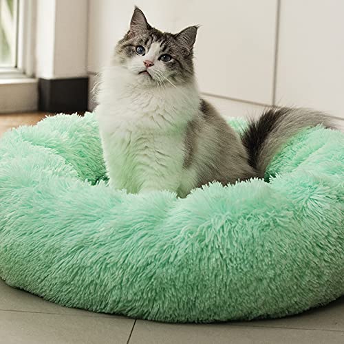 LOKAXXZU Raimaiso Anti -Angst runde Flauschige Plüsch -Kunstfell warmes Waschhundbett & Katzenbett, originales Bett für kleine mittelgroße Haustiere, zur Linderung von Gelenken und Verbesserung des von LOKAXXZU