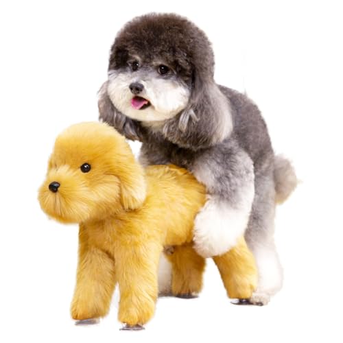 Opaeroo männliche Hund Spielzeug Silikonsimulation Humping Hund Spielzeug, Pet Estrus Vent Welpenspielzeug für männliche Östrus Hund Kleine Hunde Bulldogge Teddy Hund, Haustierbegleiter Brown 18 Opaeroo männliche Hund Spielzeug Silikonsimulation Humping Hund Spielzeug, Pet Estrus Vent Welpenspielzeug für männliche Östrus Hund Kleine Hunde Bulldogge Teddy Hund, Haustierbegleiter Brown 18 von LOKAXXZU