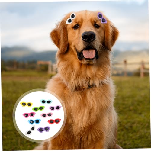 LOLIPPYY 10 Stück Teiliges Haustier Haarschmuck Sonnenbrillenform Leichte Langlebige Pet Hairpins für Hunde Katzen Sommerliche Accessoires für Fotoshootings Partys Vielseitig und von LOLIPPYY