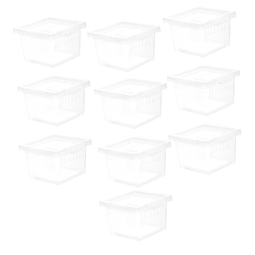 LOLIPPYY 10 Stück Teiliges Transparentes Reptilienfütterungsbox aus Stabilem Kunststoff Vielseitig für Spinnen Geckos und Kleine Reptilien Einfach zu Reinigen und Langlebig für Terrarien von LOLIPPYY