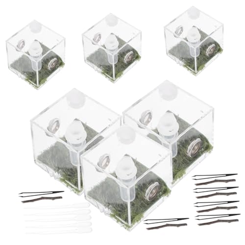 LOLIPPYY 2 Sätze Springspinne Aufzuchtbox aus mit Belüftung Transparente Insekten Habitatbox Terrarium für Kleine Reptilien und Spinnenhaltung Langlebig und Bruchsicher LOLIPPYY 2 Sätze Springspinne Aufzuchtbox aus mit Belüftung Transparente Insekten Habitatbox Terrarium für Kleine Reptilien und Spinnenhaltung Langlebig und Bruchsicher von LOLIPPYY