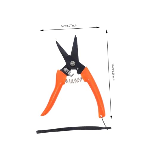 LOLIPPYY 2 Stück Teiliges Tragbare Ziegenschere aus Edelstahl Scharfer Langlebiger Klauenschneider mit Abgerundeten Kanten Leichtes Ergonomisches Design für Präzises Trimmen von von LOLIPPYY