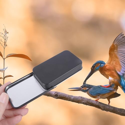 LOLIPPYY 3 Stück Edelstahl Vogel Futterbox mit Wasserdichtem Schiebedeckel Kleine Futterdose für Vogeltraining und Outdoor fütterung Langlebig und Einfach zu Befüllen für Wildvögel und LOLIPPYY 3 Stück Edelstahl Vogel Futterbox mit Wasserdichtem Schiebedeckel Kleine Futterdose für Vogeltraining und Outdoor fütterung Langlebig und Einfach zu Befüllen für Wildvögel und von LOLIPPYY