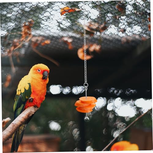LOLIPPYY 3 Stück Teiliges Parrot Futterspender aus Edelstahl Hängender Vogel Obst Gemüsehalter Geeignet für Papagei Wellensittich Nymphensittich und Kleine Vögel Einfach zu Verwenden und von LOLIPPYY