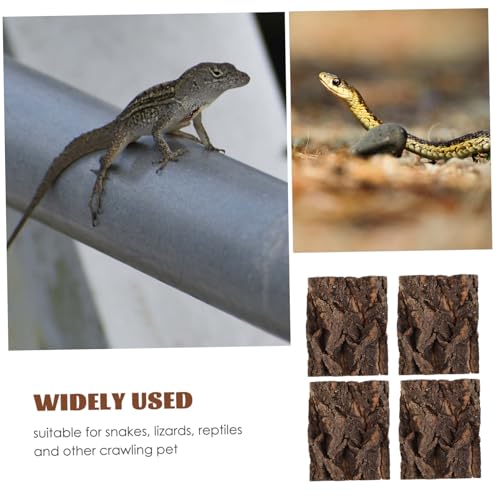 LOLIPPYY 4 Stück Teiliges Reptilien Terrarium Baumrinden Hintergrund mit Kletter und Versteckplattform Natürlich Gestaltete Schildkröten Sonnenplattform und Versteck für Echsen Schlangen LOLIPPYY 4 Stück Teiliges Reptilien Terrarium Baumrinden Hintergrund mit Kletter und Versteckplattform Natürlich Gestaltete Schildkröten Sonnenplattform und Versteck für Echsen Schlangen von LOLIPPYY