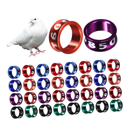 LOLIPPYY 50 Stück Geschlossene Vogelbeinringe aus Metallischem Legierungs Material Bunte Pigeon Leg Bands mit Glatter Oberfläche Robuste Hühner und Taubenringe zur Einfachen von LOLIPPYY