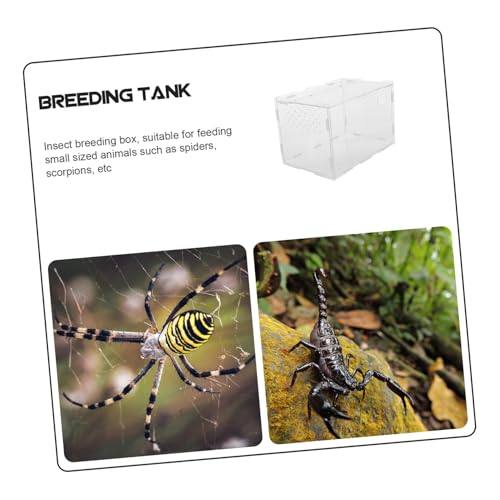 LOLIPPYY Acryl Reptilien Fütterungsbox Transparent mit Belüftung Reptil Aufzuchtbehälter Langlebig Robust für Spinnen Eidechsen und Andere Kriechtiere Geeignet LOLIPPYY Acryl Reptilien Fütterungsbox Transparent mit Belüftung Reptil Aufzuchtbehälter Langlebig Robust für Spinnen Eidechsen und Andere Kriechtiere Geeignet von LOLIPPYY