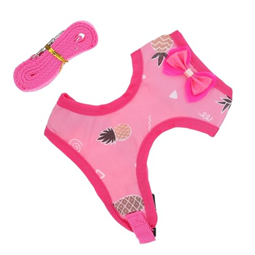 LOLIPPYY Chicken Harness mit Leine Langlebiges Zugband für Hühner Gleichmäßige Druckverteilung gegen Würgen Schutz für Hand Geeignet für Haustier Hühner Beim Spaziergang und Themenpartys von LOLIPPYY
