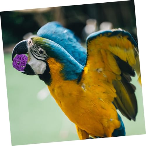 LOLIPPYY Edelstahl Vogelkäfig Futterstation mit Futter Wassernapf Halter für Papageien Wellensittiche und Kleinvögel Einfache Installation Langlebig und Leicht zu Reinigen Zufällige Farbe von LOLIPPYY