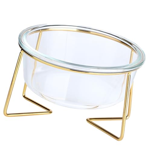 LOLIPPYY Erhöhte Glas futterschüssel für Hunde und Katzen Schräg Geneigte Fressschale mit Metallgestell rutschfest und Langlebig für Welpen und Kleine Haustiere von LOLIPPYY