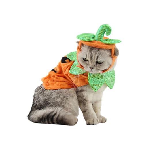 LOLIPPYY Halloween Kostüm für Haustiere Kürbis Overall mit Verstellbarem Band aus Polyester Stoff für Katzen und Hunde für Halloween Party Karneval Orange LOLIPPYY Halloween Kostüm für Haustiere Kürbis Overall mit Verstellbarem Band aus Polyester Stoff für Katzen und Hunde für Halloween Party Karneval Orange von LOLIPPYY