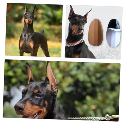 LOLIPPYY Hautfreundliche Hundearrest Pads Kleber Ergonomische Ohrenstütze zur Sanften Ohrkorrektur für Pinscher Corgi Welpen Sicherer Hautreizungen LOLIPPYY Hautfreundliche Hundearrest Pads Kleber Ergonomische Ohrenstütze zur Sanften Ohrkorrektur für Pinscher Corgi Welpen Sicherer Hautreizungen von LOLIPPYY