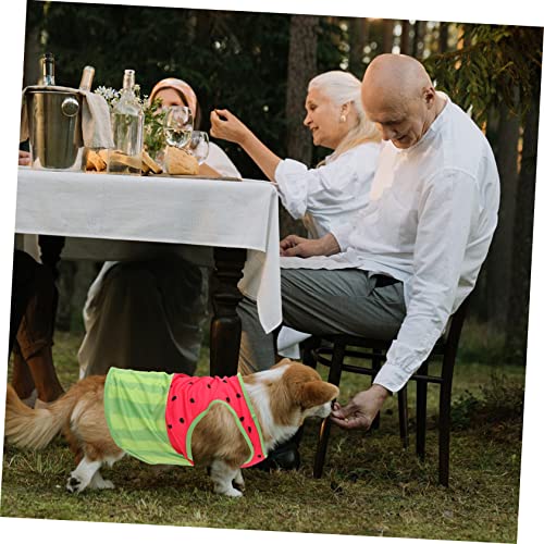 LOLIPPYY Hundekühlweste Wassermelonenmuster Sommer Hundeweste Atmungsaktiv Leicht Kühlend für Kleine und Mittelgroße Hunde XL LOLIPPYY Hundekühlweste Wassermelonenmuster Sommer Hundeweste Atmungsaktiv Leicht Kühlend für Kleine und Mittelgroße Hunde XL von LOLIPPYY