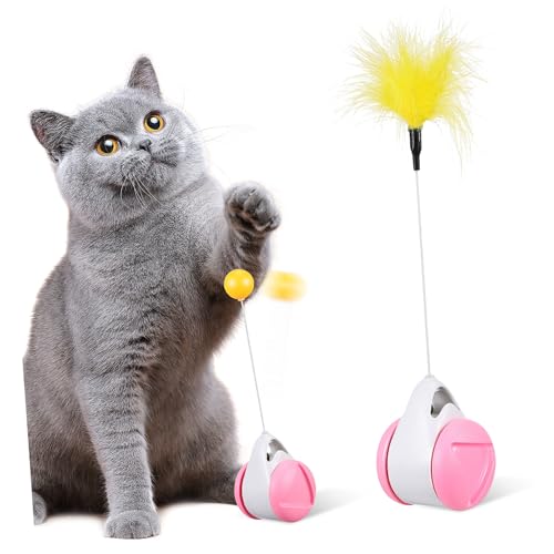LOLIPPYY Interaktives Katzenspielzeug Katzenangel mit Lustigem Balancierfahrzeug für Indoor Katzen und Kätzchen Langlebig Sicher und Vielseitig Einsetzbar für Spielerische Bindung LOLIPPYY Interaktives Katzenspielzeug Katzenangel mit Lustigem Balancierfahrzeug für Indoor Katzen und Kätzchen Langlebig Sicher und Vielseitig Einsetzbar für Spielerische Bindung von LOLIPPYY