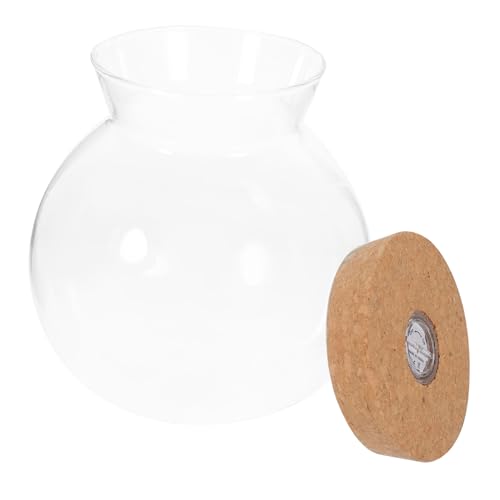 LOLIPPYY LED Glas Flaschengarten mit LED Weißlicht Borosilikat Ökologische Flasche für DIY Mikro Landschaft und Fischhaltung Transparentes Terrarium Dekoration für Zuhause und Büro von LOLIPPYY