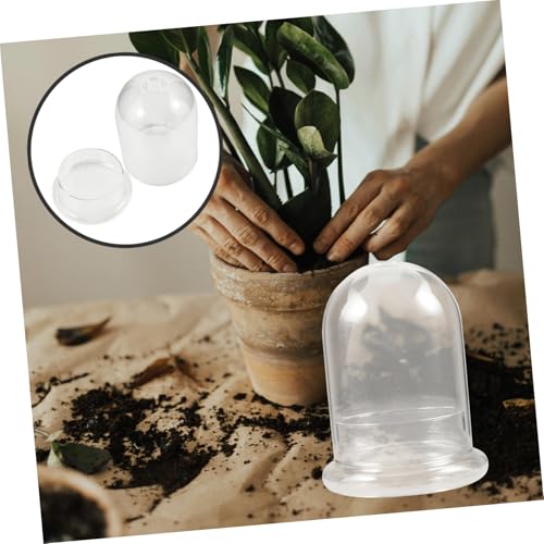 LOLIPPYY Micro Landschaft DIY Glasflasche Transparentes Terrarium mit Großem für Moos und Pflanzen Klarer Ökologische Flasche als Dekovase für Innenraum und Kreative Wohnraumgestaltung LOLIPPYY Micro Landschaft DIY Glasflasche Transparentes Terrarium mit Großem für Moos und Pflanzen Klarer Ökologische Flasche als Dekovase für Innenraum und Kreative Wohnraumgestaltung von LOLIPPYY