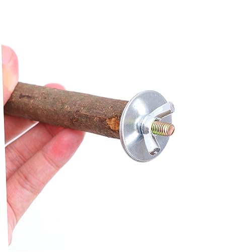 LOLIPPYY Natürliche Kokosnussschale Futternapf mit Stehstock für Papageien Vogelspielzeug Futter und Ruheplatz für Wellensittiche und Kleine Vögel LOLIPPYY Natürliche Kokosnussschale Futternapf mit Stehstock für Papageien Vogelspielzeug Futter und Ruheplatz für Wellensittiche und Kleine Vögel von LOLIPPYY