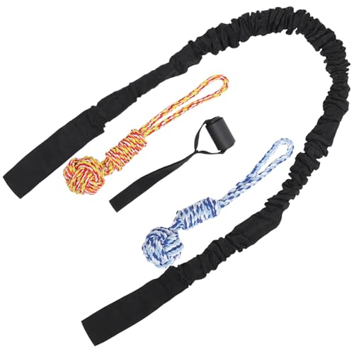 LOLIPPYY Outdoor Indoor Hundezugseilspielzeug Dehnbar bis Beißfestes Welpen mit Zugbällen Türhaken Lustiges Molaren kauspielzeug für Kleine und Mittlere Hunde Interaktives von LOLIPPYY