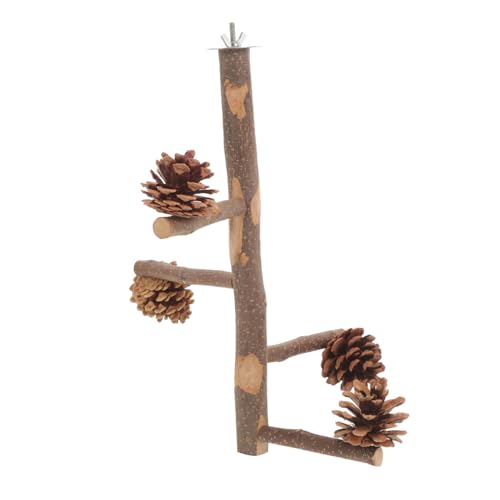 LOLIPPYY Parrot Sitzstange Holz mit Langlebigem Kiefernzapfen Kratzfestes Kletterspielzeug für Papageien und Wellensittiche Natürlicher Vogelkäfig Ruheplatz und Kletterstand für Vögel von LOLIPPYY