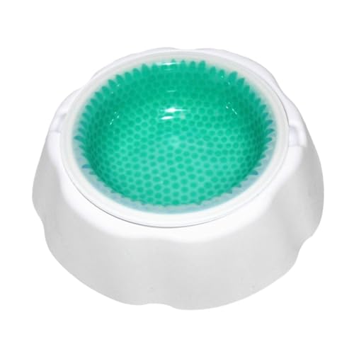 LOLIPPYY Pet Cooler Bowl mit Kühlperlen Stabile Leichte Haustiertrinkschale für Sommer rutschfest Kompakt für Katzen und Hunde Einfach zu Reinigen und Transportieren von LOLIPPYY
