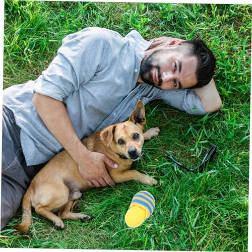 LOLIPPYY Quietschendes Hundespielzeug in Pantoffelform Beißfestes Welpen Kauspielzeug zur Zahnreinigung Interaktives Lustiges Haustierspielzeug aus Strapazierfähigem Plüsch Leicht zu von LOLIPPYY