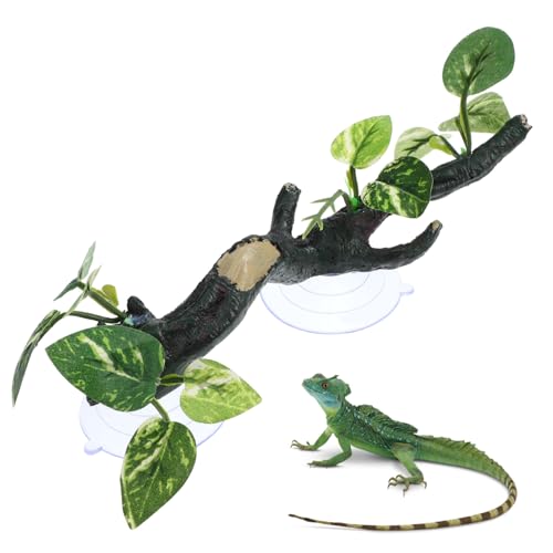 LOLIPPYY Reptilien Eckzweig aus Robustem Harz Natürlicher Kletterast für Terrarien Installieren Geeignet für Bartagamen Geckos Chamäleons und Weitere Reptilien Terrarium Deko Zweig von LOLIPPYY