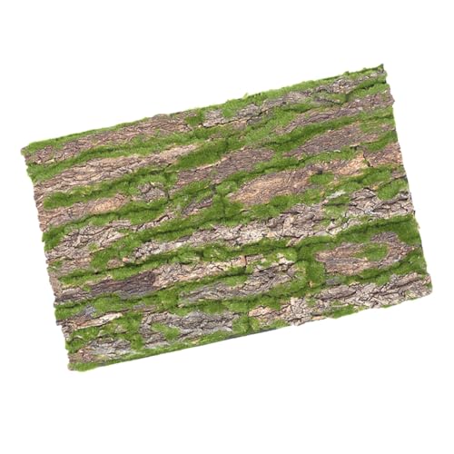 LOLIPPYY Reptilien Korkrinden Hintergrund Natürlicher Terrarien Baumrinde Dekor mit Sicherer Klettermatte für Gecko Chamäleon Schildkröte Terrarium Habitat von LOLIPPYY