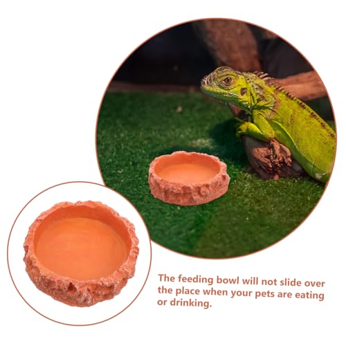LOLIPPYY Reptilien Wassernapf aus Langlebigem Harz Kompakte Futter Trinkschale für Schildkröten Geckos Bartagamen und Kleine Terrarientiere Platzsparend und Futterschonend Rot von LOLIPPYY