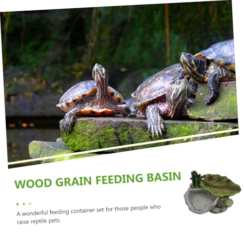 LOLIPPYY Reptilien Wasserschale aus Resin rutschfeste Futter Trinkschale für Schildkröten Eidechsen und Kleine Reptilien Leicht zu Reinigen Stabiles Design Vielseitig für Terrarien von LOLIPPYY