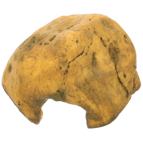 LOLIPPYY Resin Reptilien Versteck Höhle für Bartagamen und Schildkröten Große Natürliche Felsoptik Langlebiges und Pflegeleichtes Terrarienzubehör für Aquarium und Terrarium von LOLIPPYY