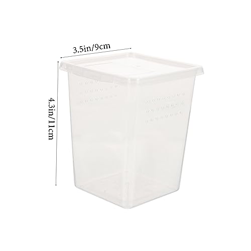 LOLIPPYY Robuste Transparente Reptilien Fütterungsbox für Geckos und Kleine Tiere Wetterbeständig Kompakt und Leicht Terrarium für Spinnen Eidechsen Schildkröten und Einfach zu Reinigen LOLIPPYY Robuste Transparente Reptilien Fütterungsbox für Geckos und Kleine Tiere Wetterbeständig Kompakt und Leicht Terrarium für Spinnen Eidechsen Schildkröten und Einfach zu Reinigen von LOLIPPYY