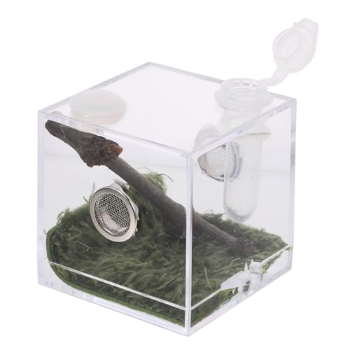 LOLIPPYY Transparente Jumping Spider Box aus Klarem Acryl Robuste Insekten Aufzuchtbox mit Belüftungslöchern als Spinnen Lebensraum und Reptilien Transportbox Mittelgroß Geruchsneutral LOLIPPYY Transparente Jumping Spider Box aus Klarem Acryl Robuste Insekten Aufzuchtbox mit Belüftungslöchern als Spinnen Lebensraum und Reptilien Transportbox Mittelgroß Geruchsneutral von LOLIPPYY