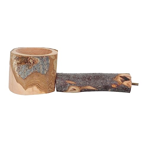 LOLIPPYY Vogelständer aus Holz für Papageien und Kleine Vögel Futter Sitzplatz mit Robustem Holzdesign Geeignet für Wellensittiche Nymphensittiche und Papageien zur Beschäftigung und LOLIPPYY Vogelständer aus Holz für Papageien und Kleine Vögel Futter Sitzplatz mit Robustem Holzdesign Geeignet für Wellensittiche Nymphensittiche und Papageien zur Beschäftigung und von LOLIPPYY