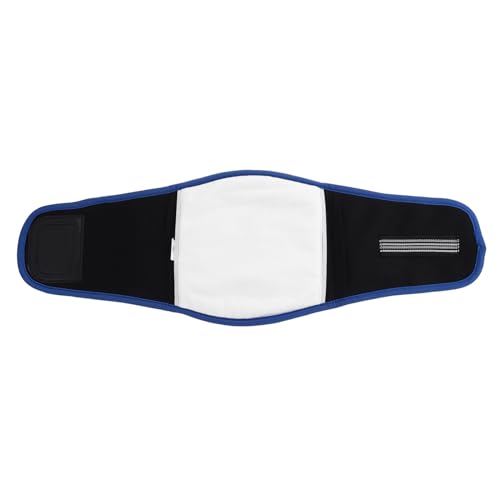 LOLIPPYY Wiederverwendbare Waschbare Hundehygienehose für Rüden Atmungsaktiver Wasserfester Bauchbund Bequemes Design Flexibel Tragbar für Reisen und Haushalt Blaue Farbe von LOLIPPYY