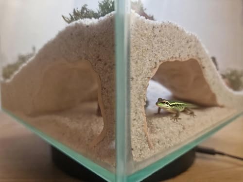 Reptilien- und Garnelenversteckhöhle, 3D-gedruckte Aquarium-Dekoration für Bartagamenschlange, Aquarium-Zubehör, Terrarium-Eckunterstand (Gary, Einheitsgröße) von LOLLBIRD