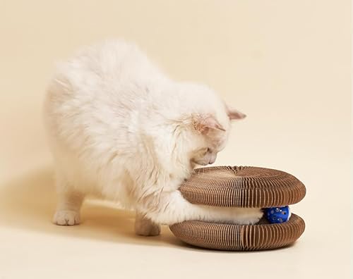 LOLYSIC 2 Stück Katzenkratzbrett, Magic Organ Cat Scratching Board, 2-in-1 Cat Kratzbrett mit Glöckchen, Interaktives Katzenspielzeug, Faltbares Katzenkratzbrett, Haltbar und Recycelbar LOLYSIC 2 Stück Katzenkratzbrett, Magic Organ Cat Scratching Board, 2-in-1 Cat Kratzbrett mit Glöckchen, Interaktives Katzenspielzeug, Faltbares Katzenkratzbrett, Haltbar und Recycelbar von LOLYSIC