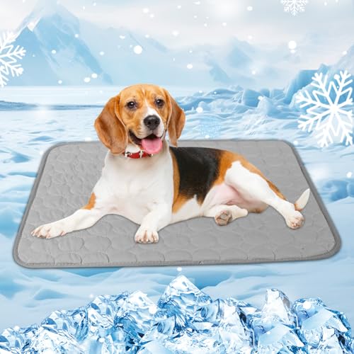 LOMUG Kühlmatte für Hunde Groß, 100x70 cm Selbstkühlend Hundematte, Kühldecke für Hunde & Katzen, Ungiftig Waschbar Hund Kühlkissen Hundekühlmatte XL für Drinnen Draußen Zuhause Unterwegs Auto (Grau) LOMUG Kühlmatte für Hunde Groß, 100x70 cm Selbstkühlend Hundematte, Kühldecke für Hunde & Katzen, Ungiftig Waschbar Hund Kühlkissen Hundekühlmatte XL für Drinnen Draußen Zuhause Unterwegs Auto (Grau) von LOMUG