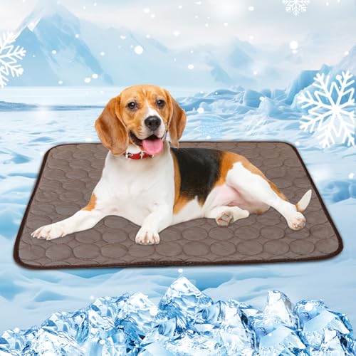 LOMUG Kühlmatte für Hunde Groß, 100x70 cm Selbstkühlend Hundematte, Kühldecke für Hunde & Katzen, Ungiftig Waschbar Hund Kühlkissen Hundekühlmatte XL für Drinnen Draußen Zuhause Unterwegs Auto LOMUG Kühlmatte für Hunde Groß, 100x70 cm Selbstkühlend Hundematte, Kühldecke für Hunde & Katzen, Ungiftig Waschbar Hund Kühlkissen Hundekühlmatte XL für Drinnen Draußen Zuhause Unterwegs Auto von LOMUG
