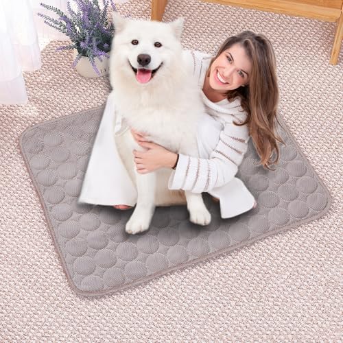 LONGCAO Home Kühlmatte für Hunde 150 x 100 cm Selbstkühlend, Abwischbar, Robust, mit Gel Waschbare, Weiche Kühlmatte für Hund, Kühldecke Hunde für Große Mittelgroße Haustiere, Braun LONGCAO Home Kühlmatte für Hunde 150 x 100 cm Selbstkühlend, Abwischbar, Robust, mit Gel Waschbare, Weiche Kühlmatte für Hund, Kühldecke Hunde für Große Mittelgroße Haustiere, Braun von LONGCAO