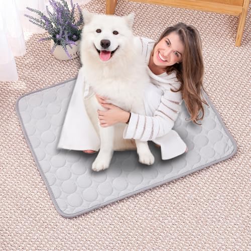 LONGCAO Home Kühlmatte für Hunde 40 x 30 cm Selbstkühlend, Abwischbar, Robust, mit Gel Waschbare, Weiche Kühlmatte für Hund, Kühldecke Hunde für Große Mittelgroße Haustiere, Grau von LONGCAO