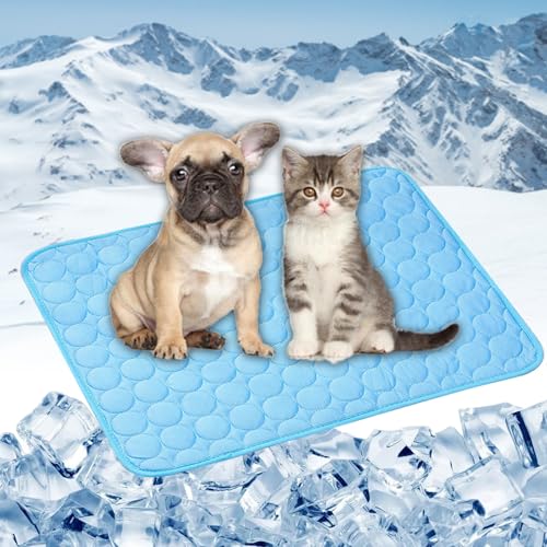 LONGCAO Kühlmatte Hund, Kuhlmatte 100 x 75 cm Grs Zertifiziert, Ungiftiges Festes Gel, Selbstkühlende Matte Kühlmatte Hund Kühldecke Hunde Katzen für Drinnen, Draußen Und Auto, Blau LONGCAO Kühlmatte Hund, Kuhlmatte 100 x 75 cm Grs Zertifiziert, Ungiftiges Festes Gel, Selbstkühlende Matte Kühlmatte Hund Kühldecke Hunde Katzen für Drinnen, Draußen Und Auto, Blau von LONGCAO