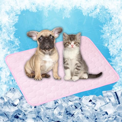LONGCAO Kühlmatte Hund, Kuhlmatte 150 x 100 cm Schnelle Abkühlung Entlastung im Heißen Sommer für Haustiere Kühlmatte für Hunde - Hundekühlmatte für Drinnen, Draußen Und Auto, Rosa LONGCAO Kühlmatte Hund, Kuhlmatte 150 x 100 cm Schnelle Abkühlung Entlastung im Heißen Sommer für Haustiere Kühlmatte für Hunde - Hundekühlmatte für Drinnen, Draußen Und Auto, Rosa von LONGCAO