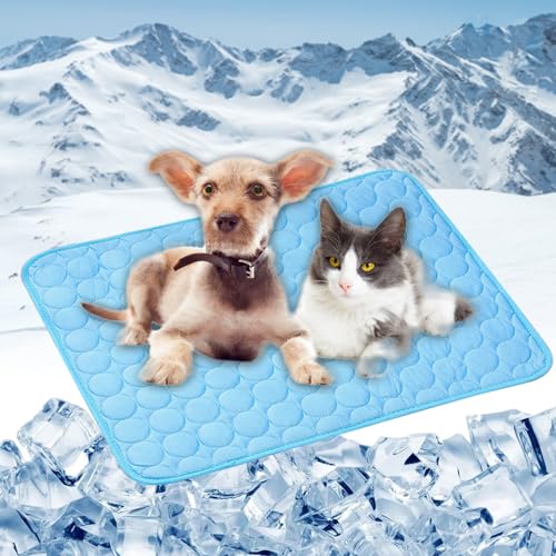 LONGCAO Kühlmatte Hund, Kuhlmatte 150 x 100 cm Selbstkühlend, Abwischbar, Robust, mit Gel Waschbare, Weiche Kühlmatte Katze Hund Kühldecke für Sofa, Kiste, Käfig, Nest, Auto, Blau LONGCAO Kühlmatte Hund, Kuhlmatte 150 x 100 cm Selbstkühlend, Abwischbar, Robust, mit Gel Waschbare, Weiche Kühlmatte Katze Hund Kühldecke für Sofa, Kiste, Käfig, Nest, Auto, Blau von LONGCAO