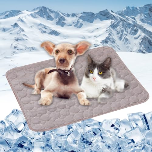 LONGCAO Kühlmatte Hund, Kuhlmatte 150 x 100 cm Selbstkühlend, Abwischbar, Robust, mit Gel Waschbare, Weiche Kühlmatte Katze Hund Kühldecke für Sofa, Kiste, Käfig, Nest, Auto, Braun LONGCAO Kühlmatte Hund, Kuhlmatte 150 x 100 cm Selbstkühlend, Abwischbar, Robust, mit Gel Waschbare, Weiche Kühlmatte Katze Hund Kühldecke für Sofa, Kiste, Käfig, Nest, Auto, Braun von LONGCAO