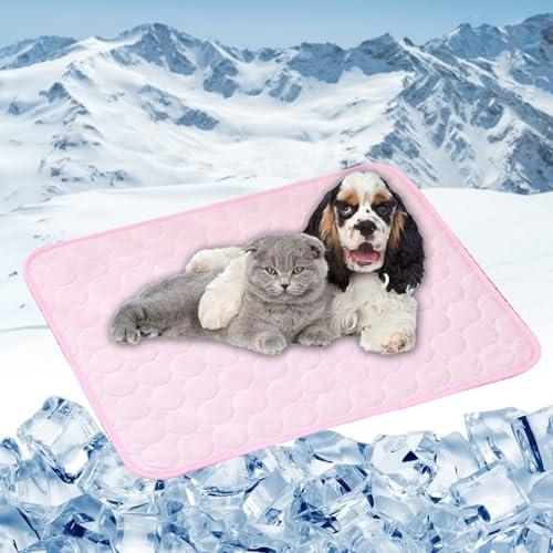 LONGCAO Kühlmatte Hund, Kuhlmatte 70 x 55 cm rutschfeste Schlafbett Waschbar Atmungsaktiv 6 Größen Kühlmatte Hund, Kühlmittel Matte für Drinnen, Draußen Und Auto, Rosa von LONGCAO
