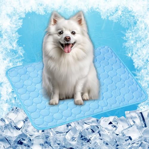 LONGCAO Kühlmatte für Den Sommer 150 x 100 cm Schnelle Abkühlung Entlastung im Heißen Sommer für Haustiere Kühlmatte Hund, Hund Kühlmittel Matte für Drinnen, Draußen Und Auto, Blau LONGCAO Kühlmatte für Den Sommer 150 x 100 cm Schnelle Abkühlung Entlastung im Heißen Sommer für Haustiere Kühlmatte Hund, Hund Kühlmittel Matte für Drinnen, Draußen Und Auto, Blau von LONGCAO
