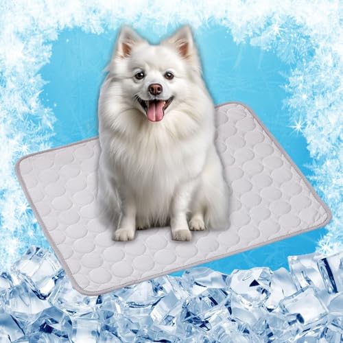 LONGCAO Kühlmatte für Den Sommer 150 x 100 cm Schnelle Abkühlung Entlastung im Heißen Sommer für Haustiere Kühlmatte Hund, Hund Kühlmittel Matte für Drinnen, Draußen Und Auto, Grau LONGCAO Kühlmatte für Den Sommer 150 x 100 cm Schnelle Abkühlung Entlastung im Heißen Sommer für Haustiere Kühlmatte Hund, Hund Kühlmittel Matte für Drinnen, Draußen Und Auto, Grau von LONGCAO