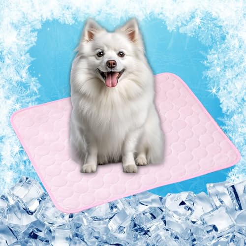 LONGCAO Kühlmatte für Den Sommer 150 x 100 cm Schnelle Abkühlung Entlastung im Heißen Sommer für Haustiere Kühlmatte Hund, Hund Kühlmittel Matte für Drinnen, Draußen Und Auto, Rosa LONGCAO Kühlmatte für Den Sommer 150 x 100 cm Schnelle Abkühlung Entlastung im Heißen Sommer für Haustiere Kühlmatte Hund, Hund Kühlmittel Matte für Drinnen, Draußen Und Auto, Rosa von LONGCAO